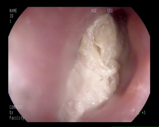 1610093023320181.png 图片4.png