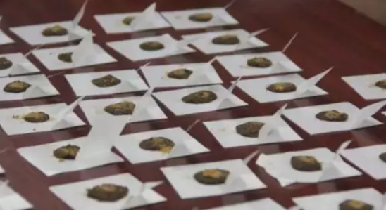 我&ldquo;艾&rdquo;我健康，三九天灸即将开贴，温阳驱寒正当时