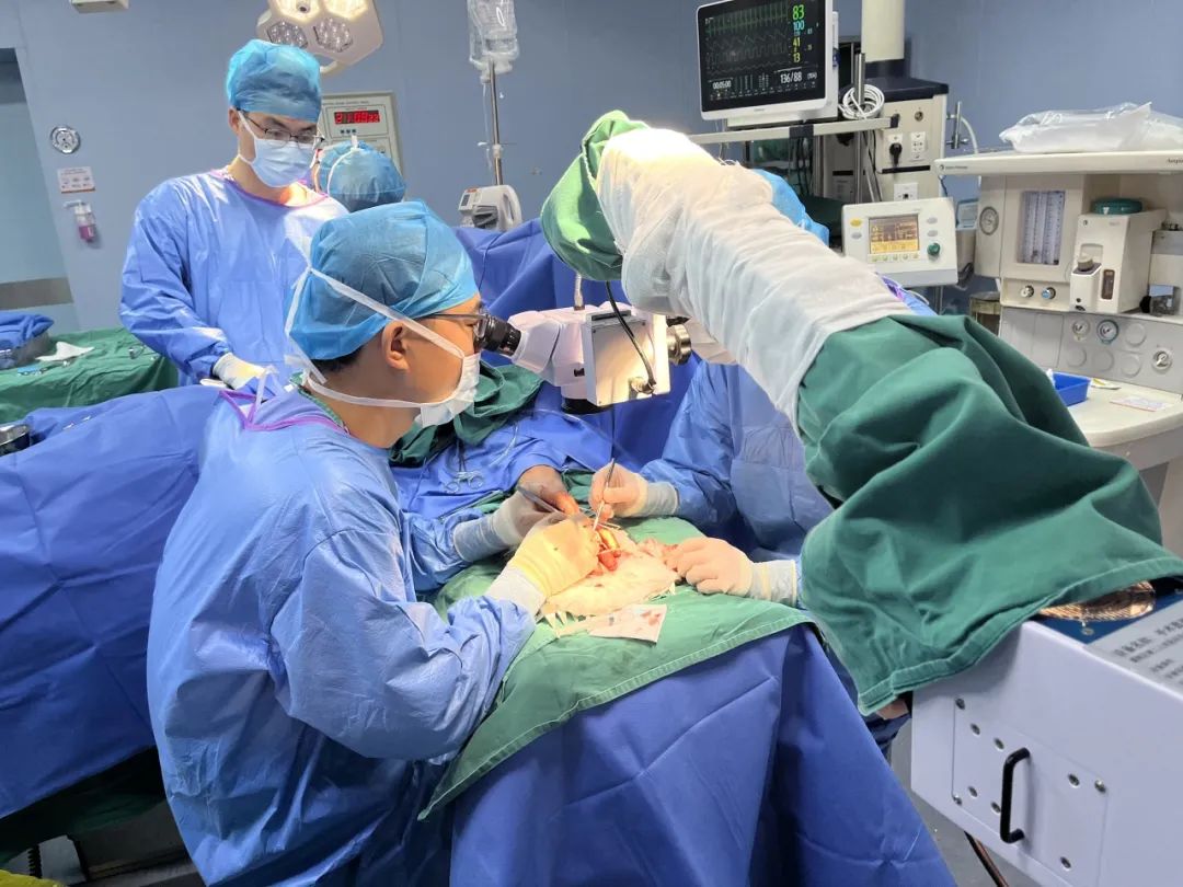 神奇 | 手指关节缺损 骨二科巧&ldquo;搬&rdquo;脚趾关节修复伤指